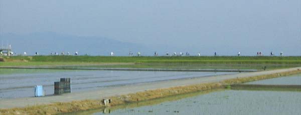 �V�C�l�����肾�낤���B��h��𑖂�